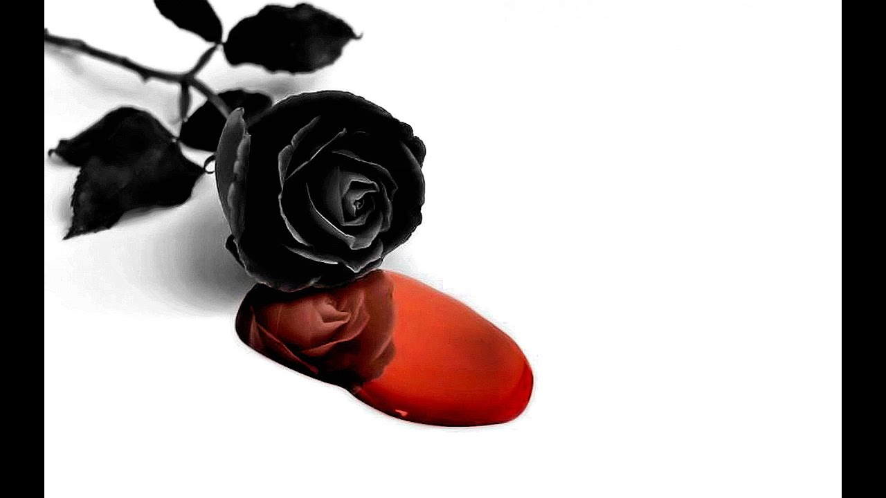 _ California Dreamin _ Sia _ San Andreas OST _ YouTube Music