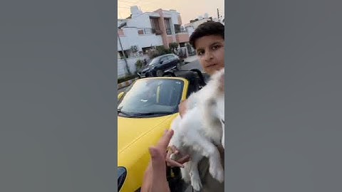 Oreo Ko Super-Car Mein Bitha Diya 😍 1st time