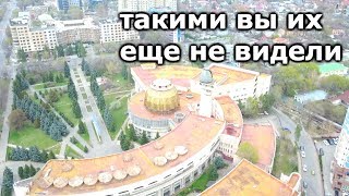 Такими вы их еще не видели!