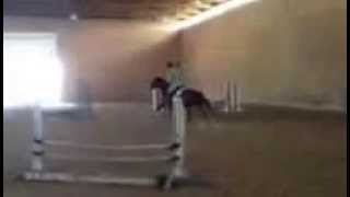 IMG 1056 1