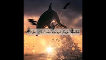 سورة الإسراء الآية ( 25 )