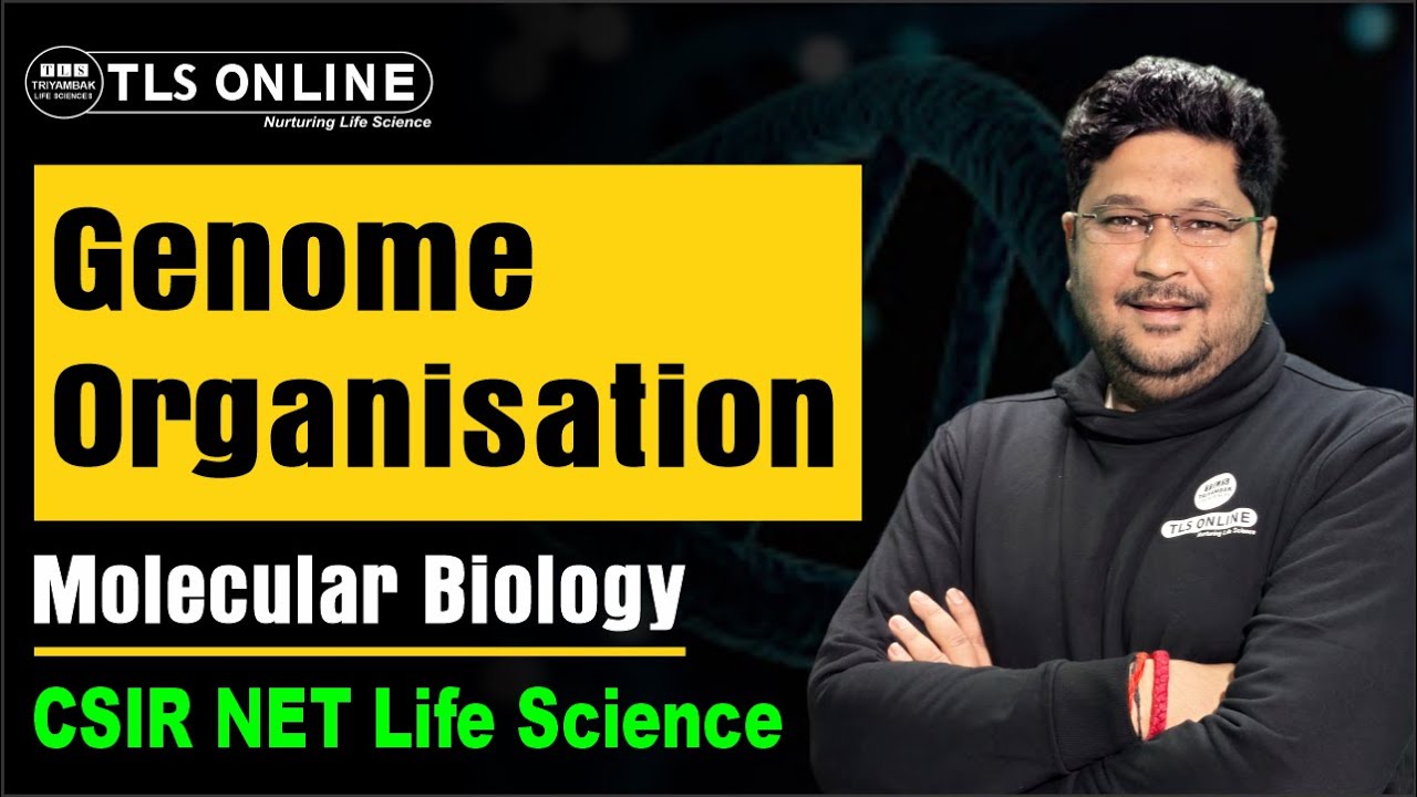 Genome Organisation | Molecular Biology I Target JRF 2025 | CSIR NET Life Science I Unit 3