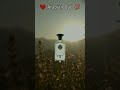 Seductive Fragrances From Arabian Oud 