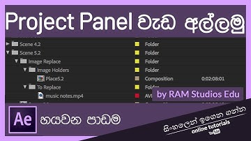 After Effects Beginner Course (Sinhala) - Part 6 - Project Panel
