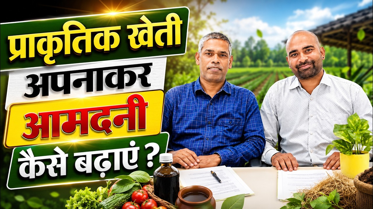 PRADAN NGO का खुलासा: कैसे बदल रही है किसानों की जिंदगी?