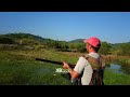 Kb 2018  hunting daysyrianhunters  kotaiba baladia       