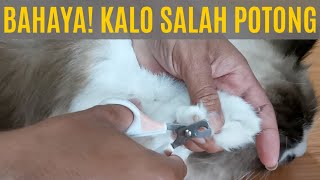 MEMOTONG KUKU KAKI PALING SATISFYING!!!