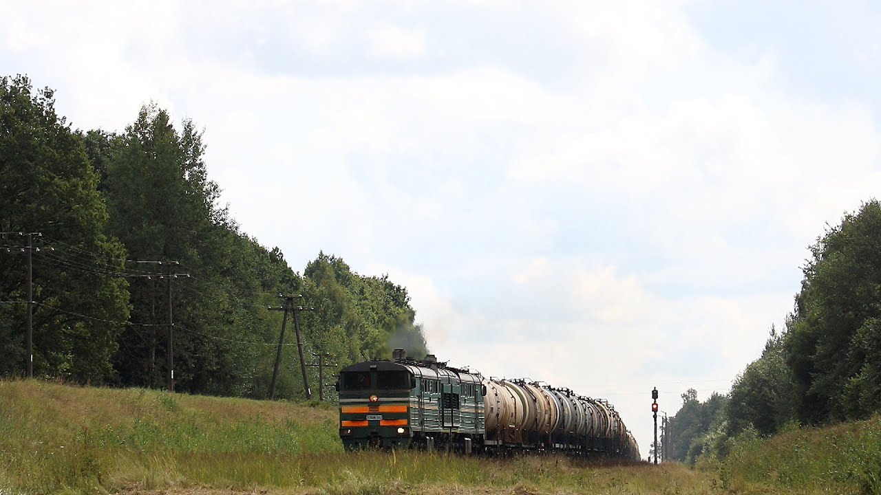 Горяны/разъезд Фомино│август, 2021