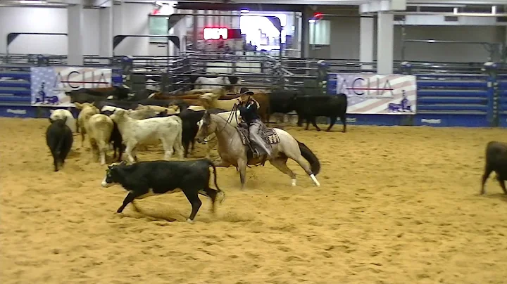 Janet Bowen & METALLIC HAVANNA, Nonpro Classic, sc...