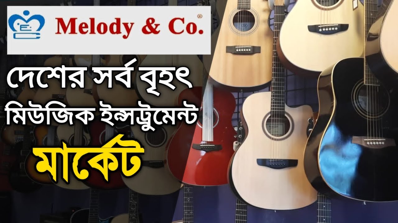 Largest Music instrument shop Melody & Co. YouTube