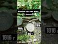 Кошель царских монет ( финал ) #камрад #коп_монет #монета #металлоискатель #копвлесу #коп #deusxp