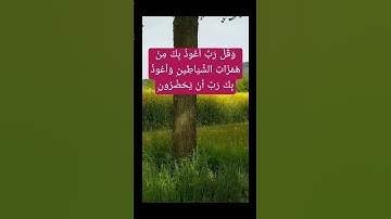 ( سورة المؤمنون)وَقُلْ رَبِّ أَعُوذُ بِكَ مِنْ هَمَزَاتِ الشَّيَاطِينِ * وَأَعُوذُ بِكَ رَبِّ أ