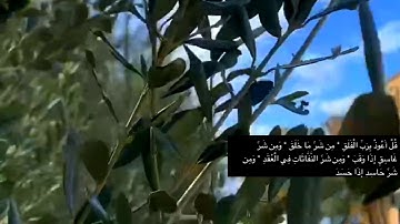 سورة الفلق||القارئ رعد الكردي