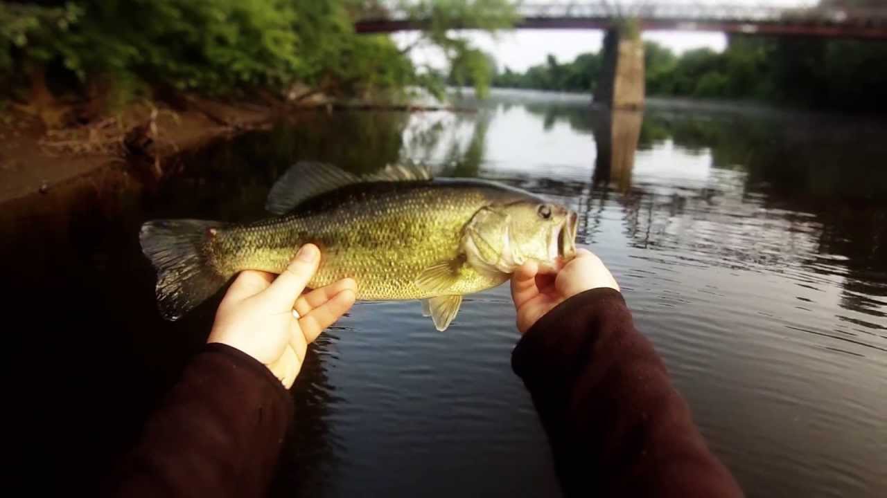 GoPro Bass Fishing CT River - YouTube