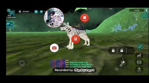 Showing yall color codes for xwolf using my wolves