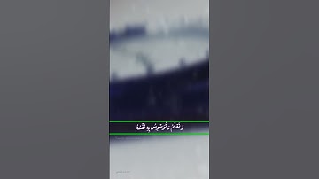 حالات واتساب دينية..  آيات من الذكر الحكيم