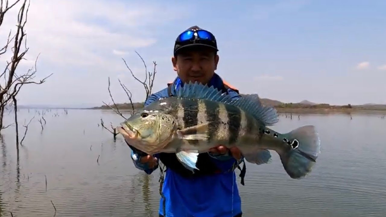 Serra da Mesa impressionante #pescaria #fishing #pescaria serra da mesa