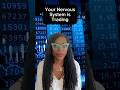 This breathing technique changed my trading forever #trading #psychology #emotionalcontrol