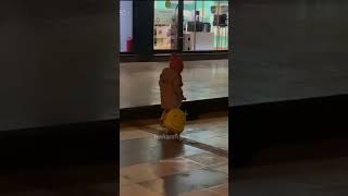 Haksizliği Da Koydum Bavula