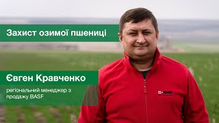 Євген Кравченко, регіональний менеджер з продажу BASF, — про переваги протруйника Кінто® Плюс