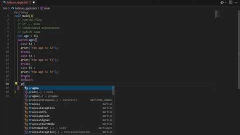 Switch Case in dart language.