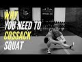 COSSACK SQUAT - Increase Mobility & Leg Strength (TRY THIS SQUAT)