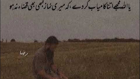 kashmir University | previous year paper of tour  & travel management (mdc ) 3rd Sem