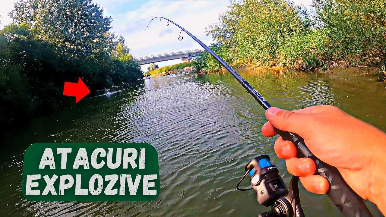 MULTA ACTIVITATE in LOC NOU pe IALOMITA la CLEAN