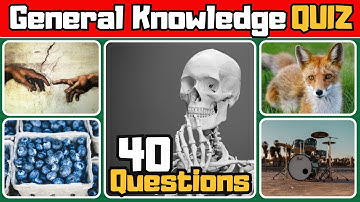 General Knowledge Quiz | 40 Trivia Questions to Test Your Brain!