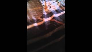 Official Duracell Stereo Headset Unboxing