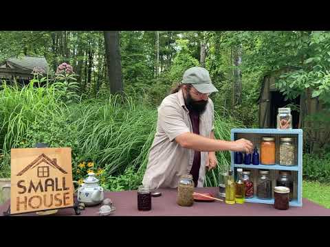 Making Herbal Teas, Tinctures, and Salves with Bevin