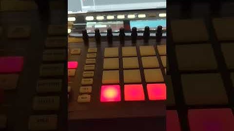 Maschine Studio Sample Beat #shorts