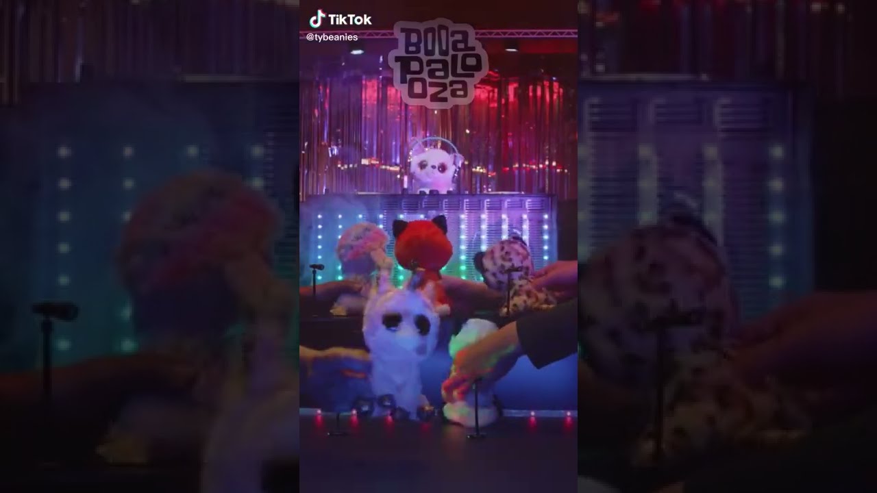 Beanie Booapalooza