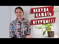 Нет места для огурцов!!!!  Нашли паром. СВОЙ ДОМ на Юге