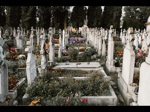 Dreaming of Graves in Islam