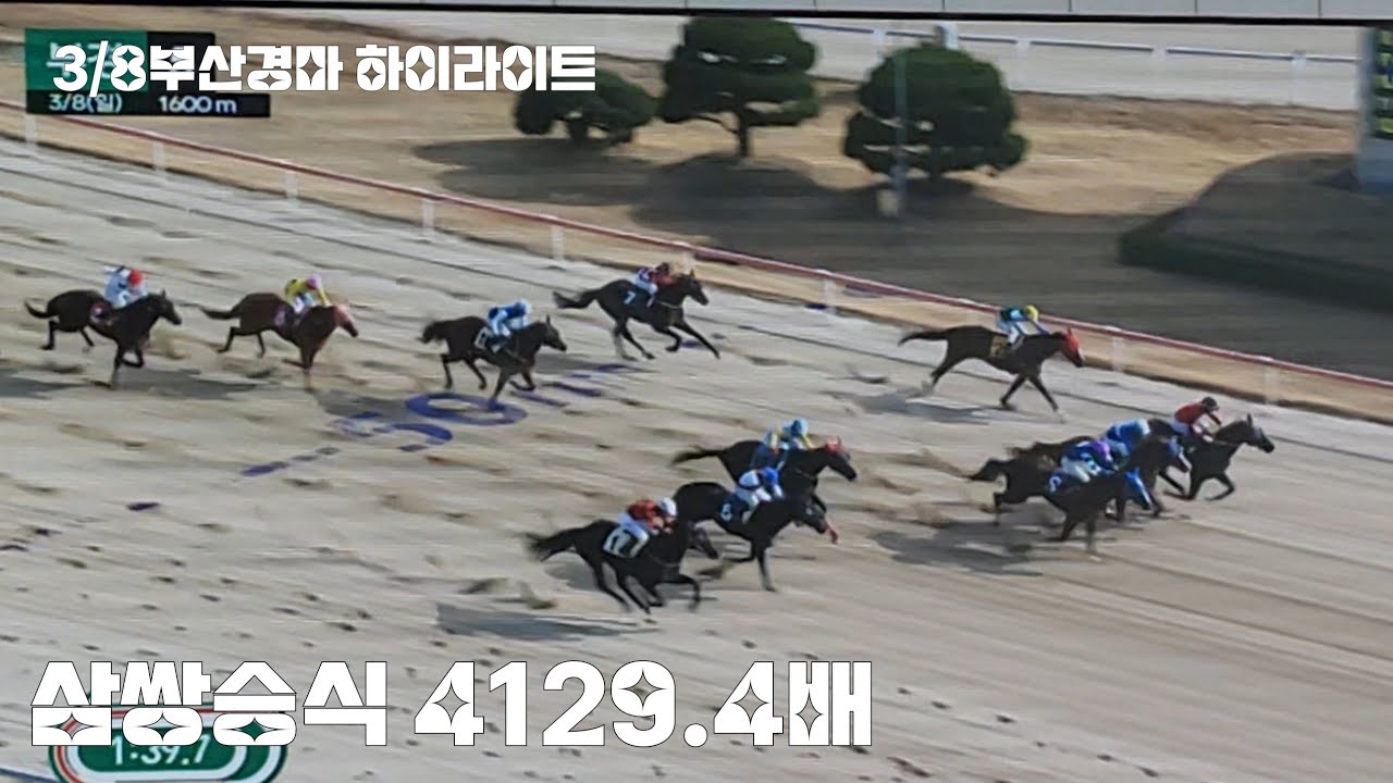 아이쿠야! 9번말을 왜 뺐을까나~쩝 (여윽시 터지는판은 다걸어야되!) 