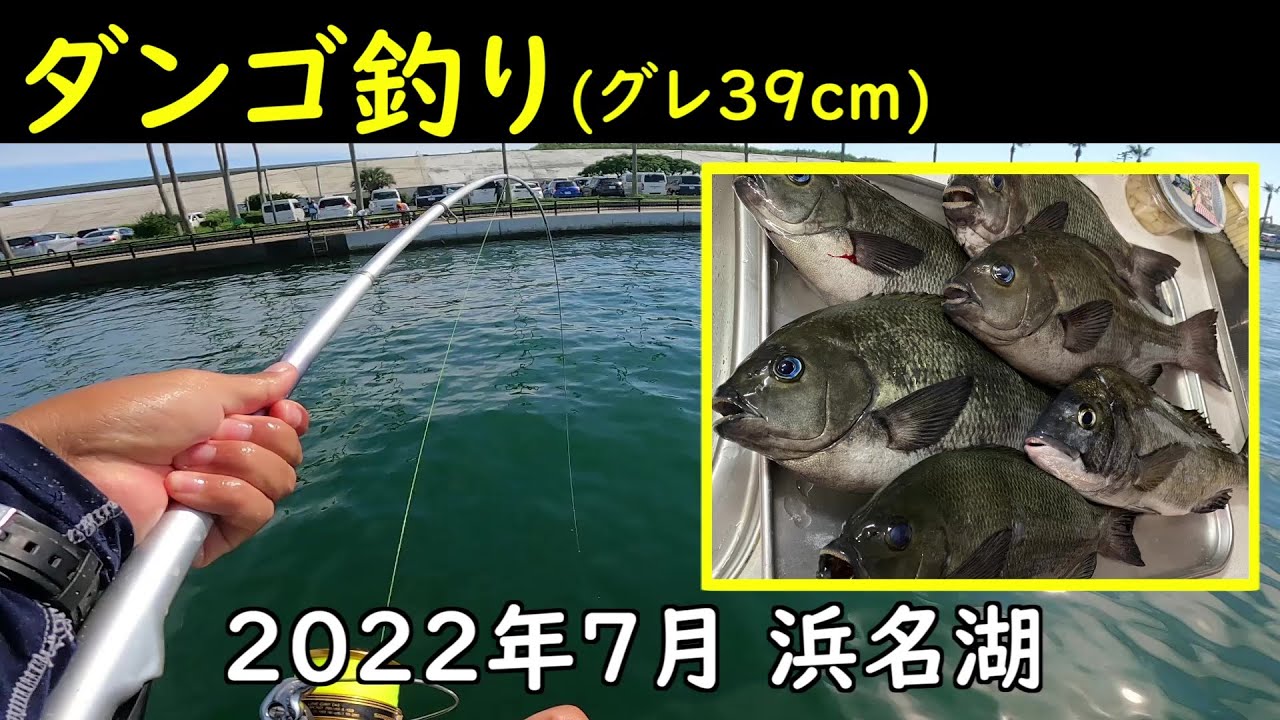 22年7月 浜名湖 グレ39cm Youtube
