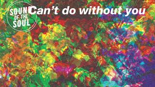 Caribou - Can`t Do Without You (Nick Muir Remix)