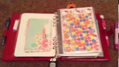 Fab Lady Bug Filofax A5 Metropol Setup