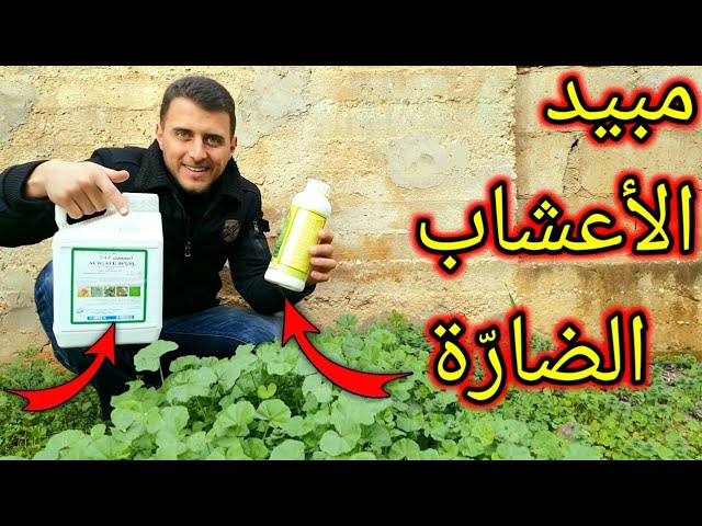 مبيدات الأعشاب طريقة فعالة للتخلص من الأعشاب الضارة (يستخدم بحذر شديد) -  YouTube
