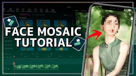 Face Mosaic Tutorial | Filmora14