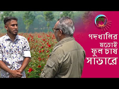 ভিডিও: বার্ন আকর্ষণ: গোলাপ বাগান