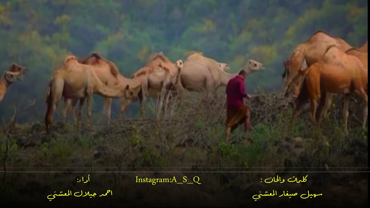 دبرارت | كلمات والحان سهيل صيغار المعشني | اداء احمد جيلال المعشني