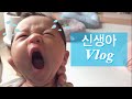 [신생아 브이로그] 인생20일차 콩이의 일상🍼 (feat.현실육아)