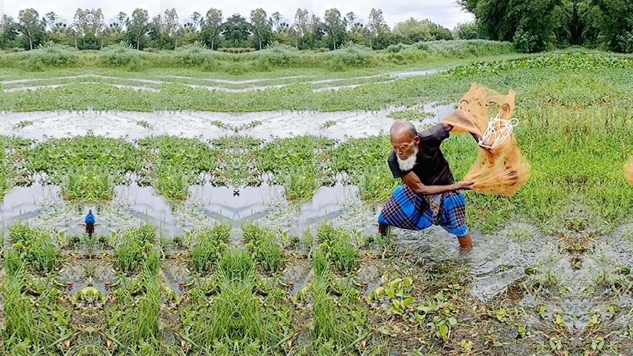 Amazing Village Net Fishing - Traditional Cast Net Fishing Video - Best River Fishing Video