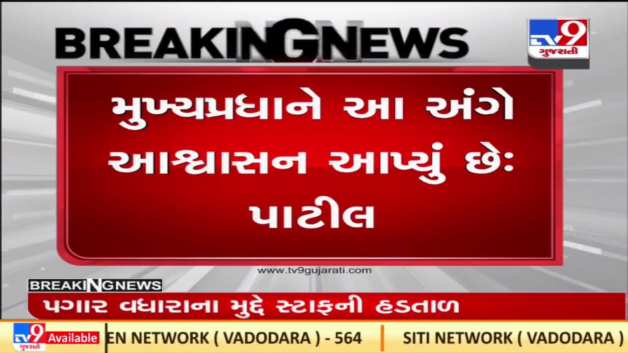 Government in talks with Maldhari community over stray cattle bill row |Gujarat |TV9GujaratiNews
