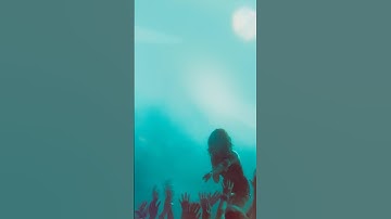 Before/After concert shots edited in Luminar Neo #madewithluminar #luminarneo #tutorial