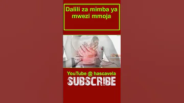 Dalili Za Mimba Ya Mwezi Mmoja Shortvideo Shorts 