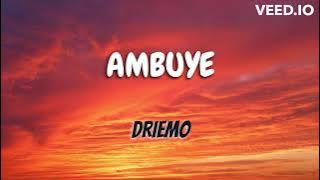 A powerful prayer by DRIEMO - Guide me I should not lose my way (LYRICS)