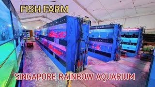 Rainbow Aquarium | Fish Farm in Singapore | Explore Singapore [164]